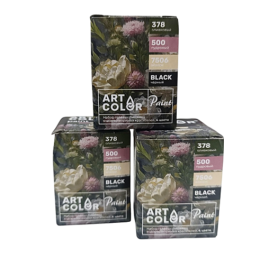Набор красителей Art Color Paint "СУХОЦВЕТ",  4 цвета