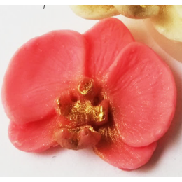 Молд "Орхидея средняя"