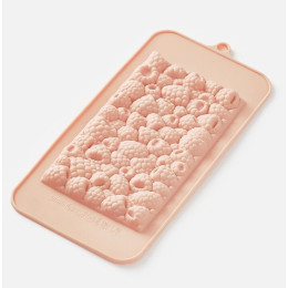 Форма для шоколада "Малина" 21x10x1 см