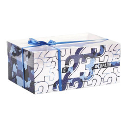 Коробка для капкейков с PVC крышкой «23 февраля», 23 × 16 × 10 см  