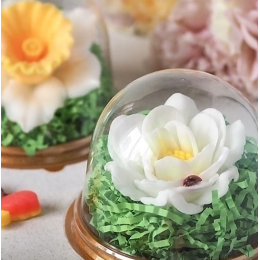 Контейнер пластиковый "Купол", 11 х 8,2 см, золотой