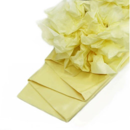 Бумага упаковочная тишью Шампань, 10 листов (лист 55х60 см)
