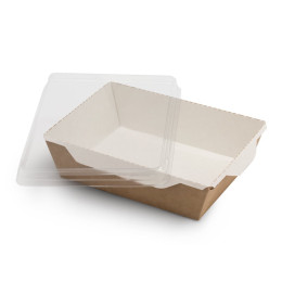 Упаковка OSQ OpSalad 1000 (16,2 х 22,2 х 5,5 см) с крышкой