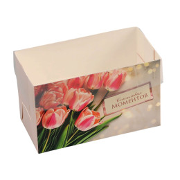 Коробка для 2 капкейков с PVC крышкой «Счастливых моментов» (16×8×10 см)